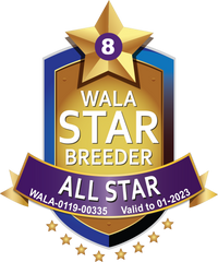 De Peelhoeve All Star Logo