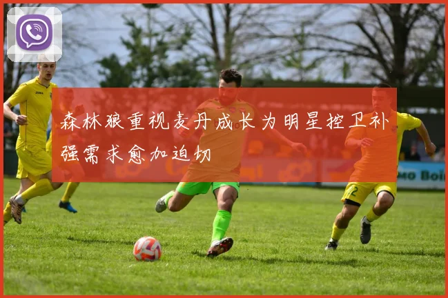 森林狼重视麦丹成长为明星控卫补强需求愈加迫切
