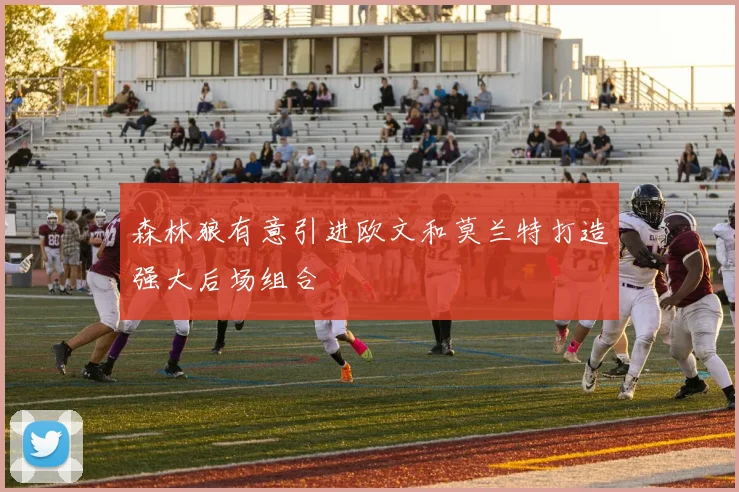森林狼有意引进欧文和莫兰特打造强大后场组合