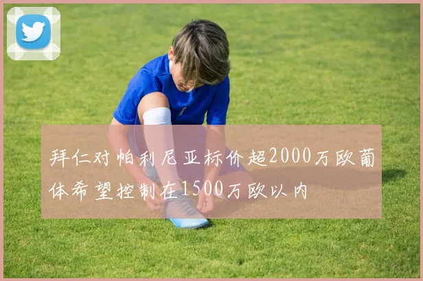拜仁对帕利尼亚标价超2000万欧葡体希望控制在1500万欧以内